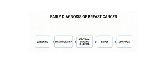 Early diagnosis of breast cancer: скрининг, маммография, дополнительная визуализация, биопсия, диагноз